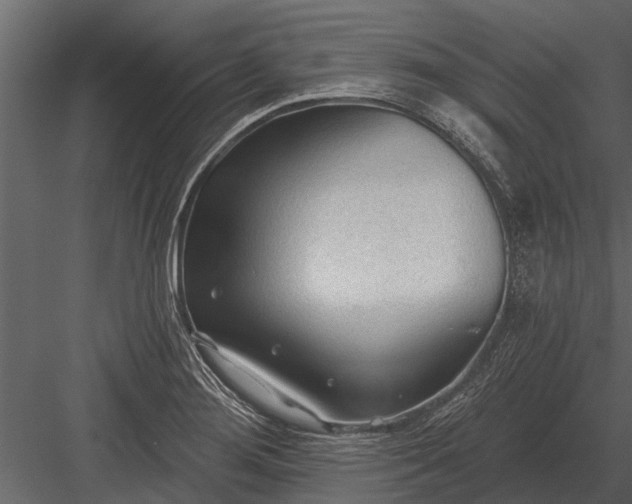 X0000083551276200702240101