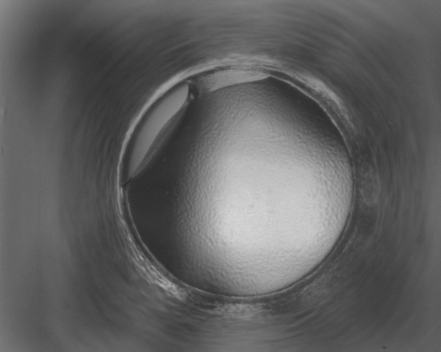 X0000083551280200702240101