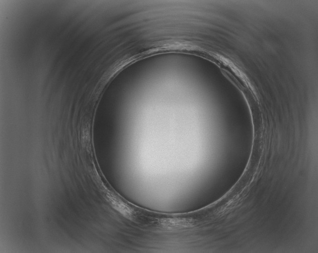X0000083551281200702240101