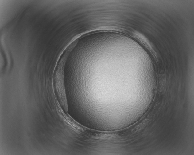 X0000083551284200702240101