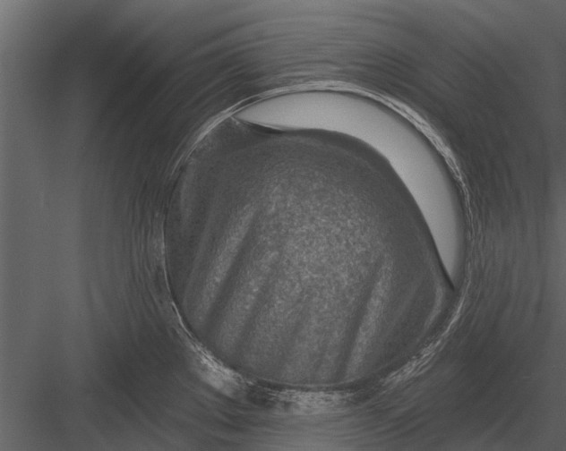 X0000083551289200702240101