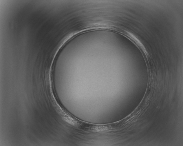 X0000083551291200702240101