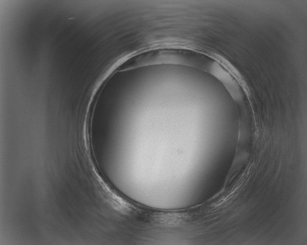 X0000083551293200702240101