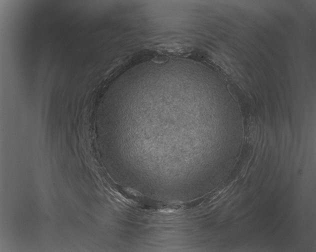 X0000083551297200702240100