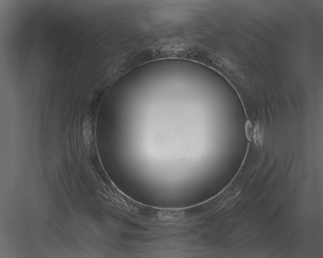 X0000083551299200702240100