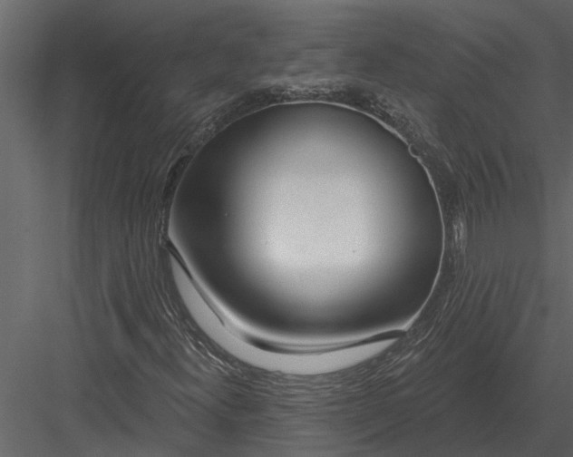 X0000083551300200702240100