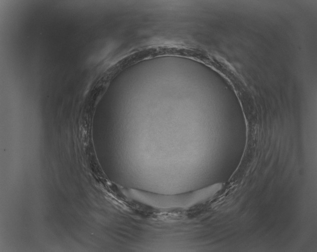 X0000083551303200702240100