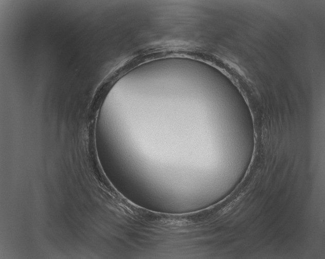 X0000083551309200702240100