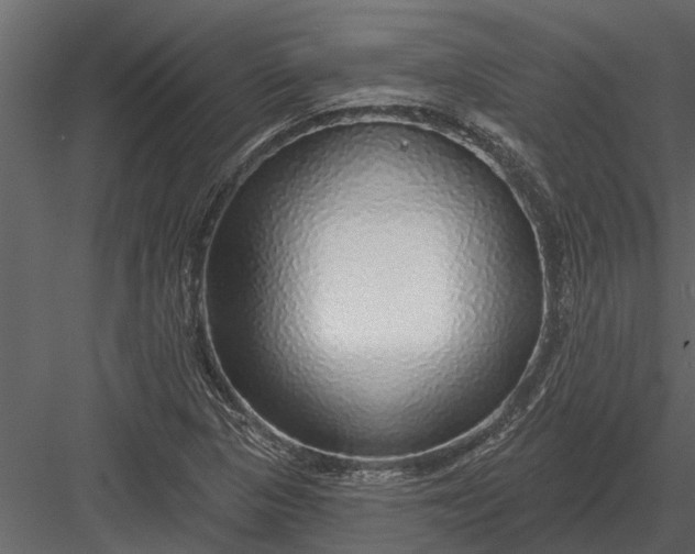 X0000083551313200702240101
