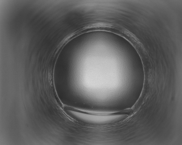 X0000083551321200702240101