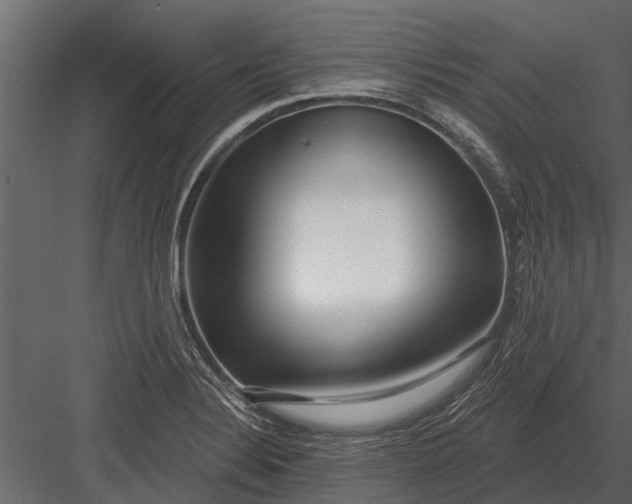 X0000083551324200702240101
