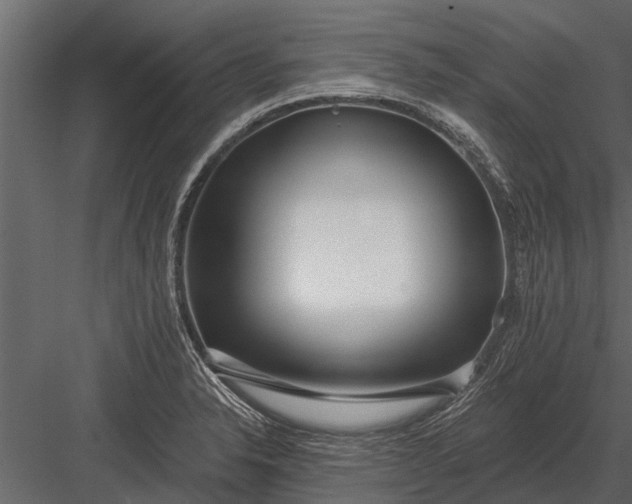 X0000083551326200702240101