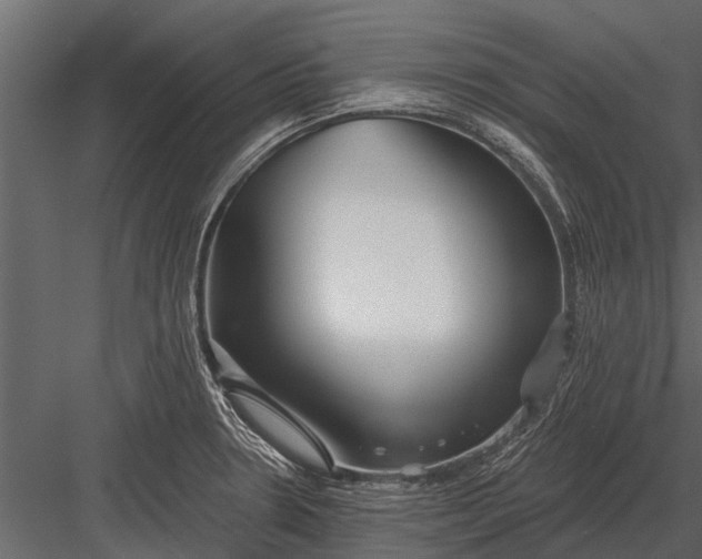 X0000083551330200702240101
