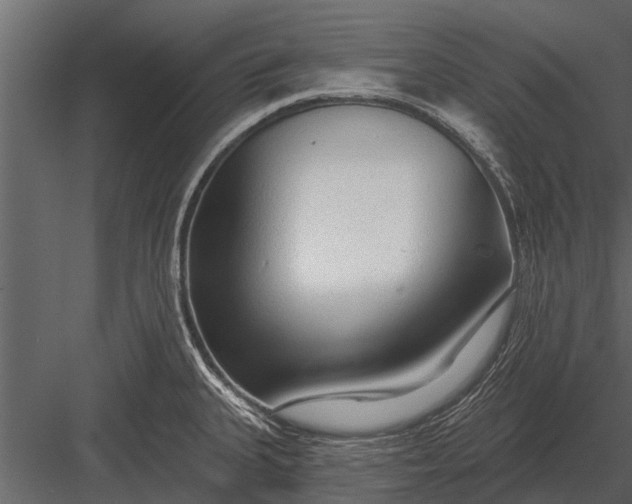 X0000083551335200702240101