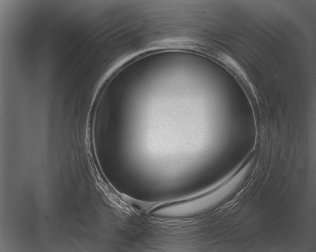X0000083551336200702240101