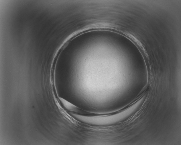 X0000083551342200702240101