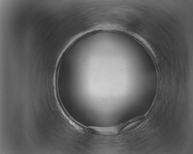 X0000083551343200702240101