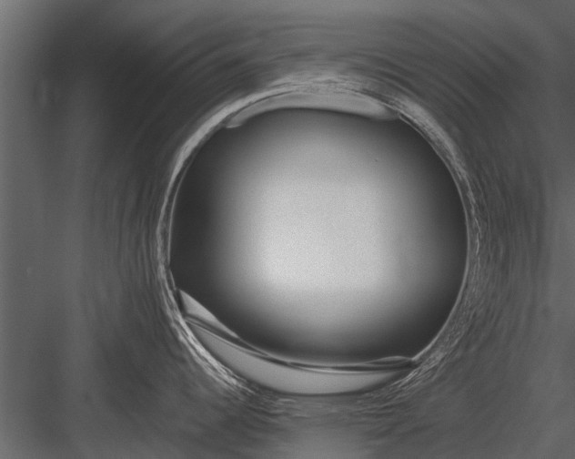 X0000083551344200702240101
