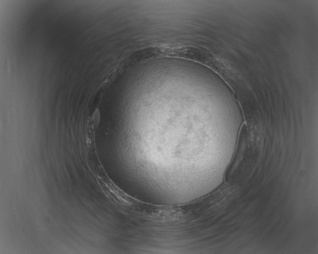X0000083551346200702240100