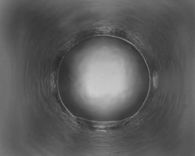 X0000083551347200702240100