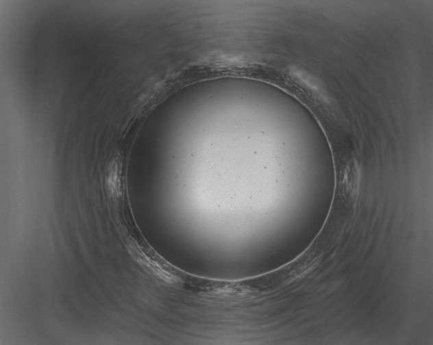 X0000083551348200702240100