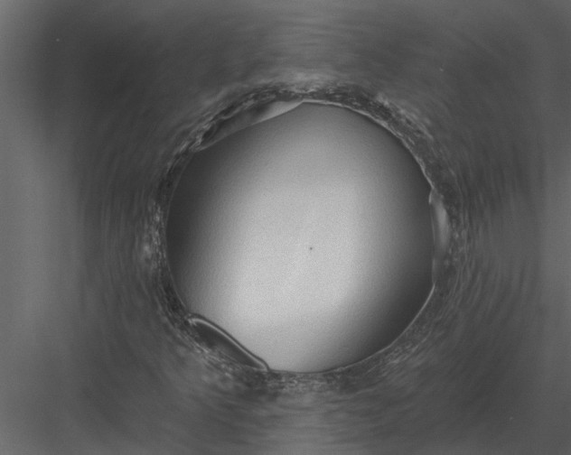 X0000083551349200702240100