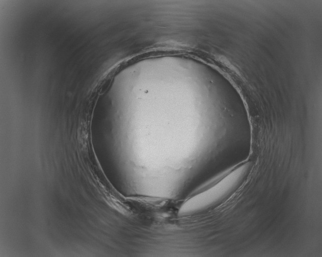X0000083551355200702240100
