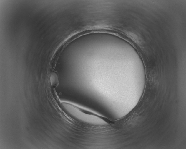 X0000083551356200702240100