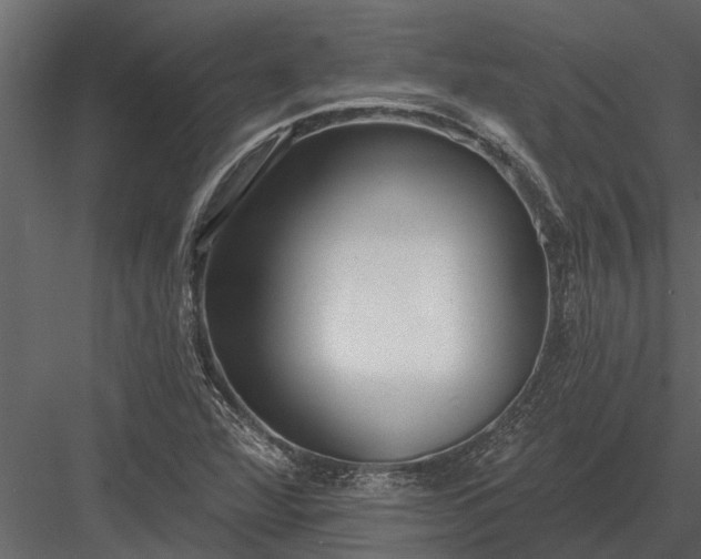 X0000083551360200702240100