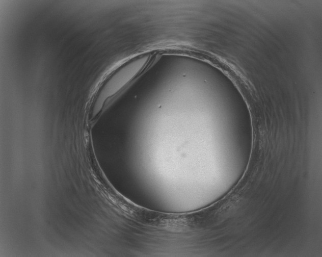 X0000083551363200702240100