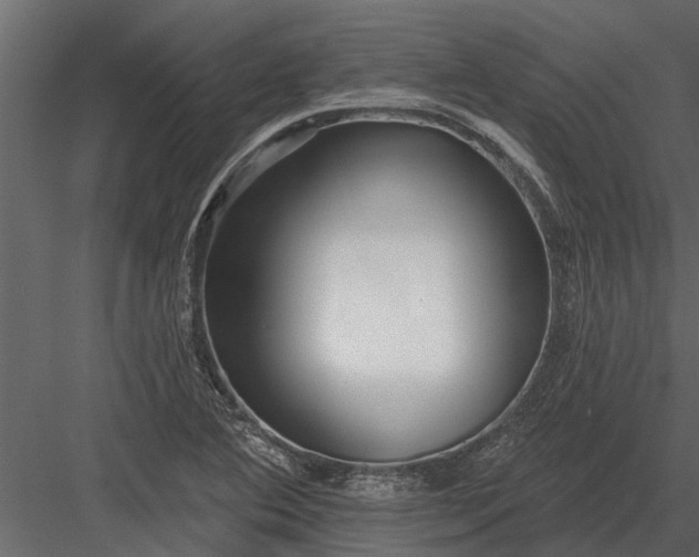 X0000083551364200702240100