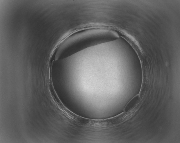 X0000083551365200702240100