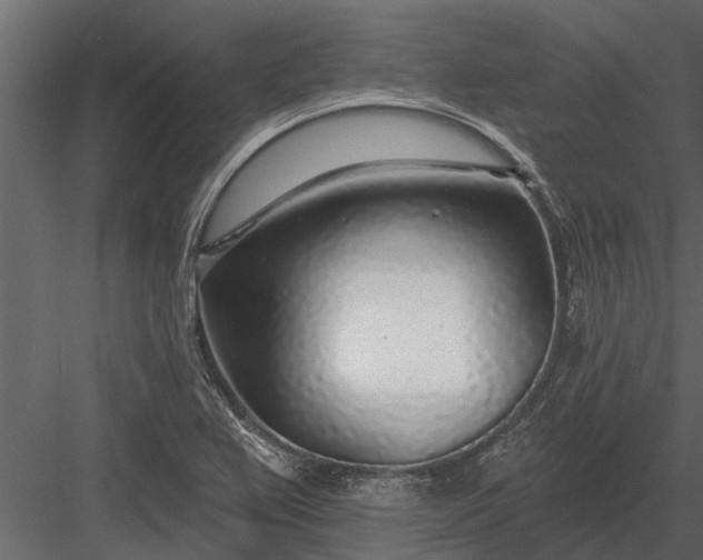 X0000083551367200702240100