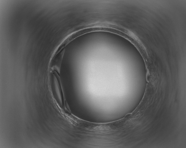 X0000083551368200702240100