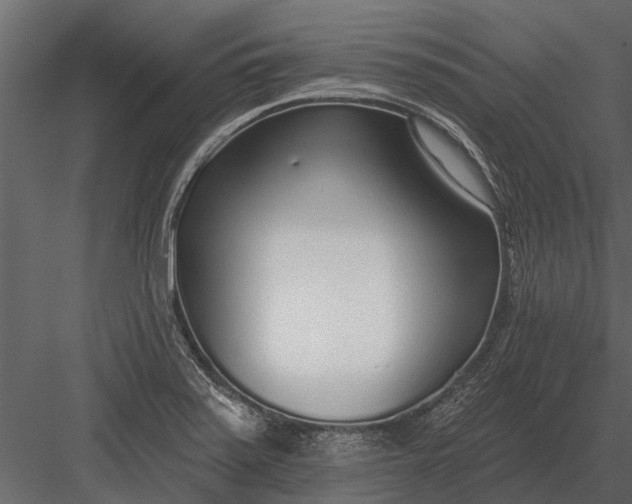 X0000083551371200702240100