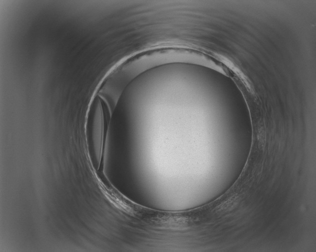 X0000083551372200702240100