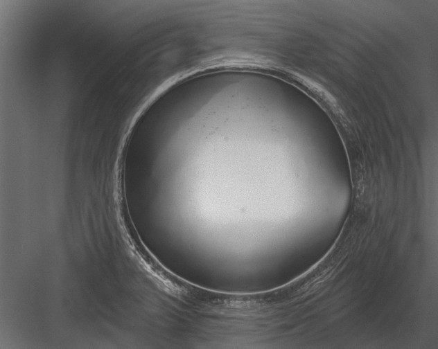 X0000083551375200702240100