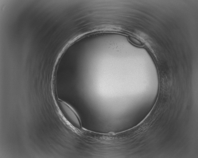 X0000083551379200702240100