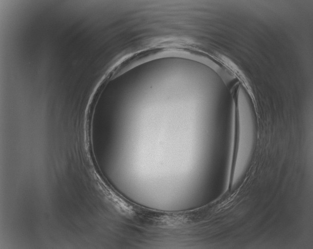 X0000083551384200702240100