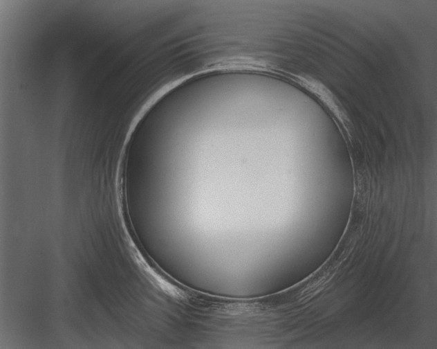 X0000083551387200702240059