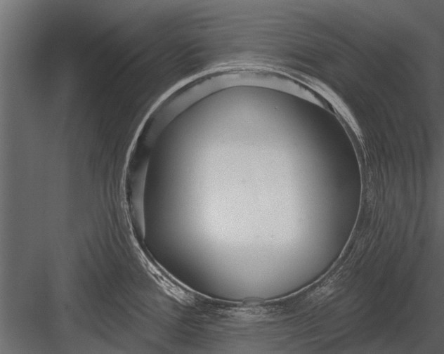 X0000083551388200702240059