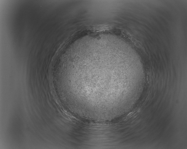 X0000083551393200702240059