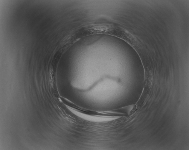 X0000083551394200702240059