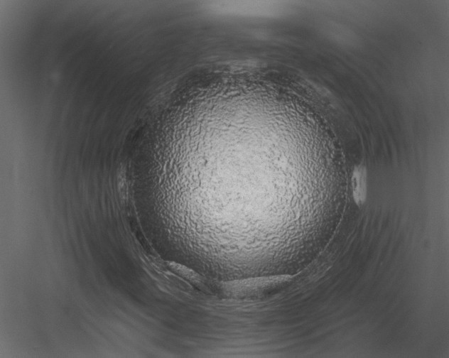 X0000083551395200702240059