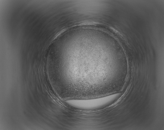 X0000083551401200702240059