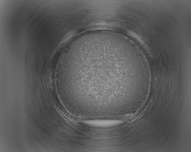 X0000083551403200702240059