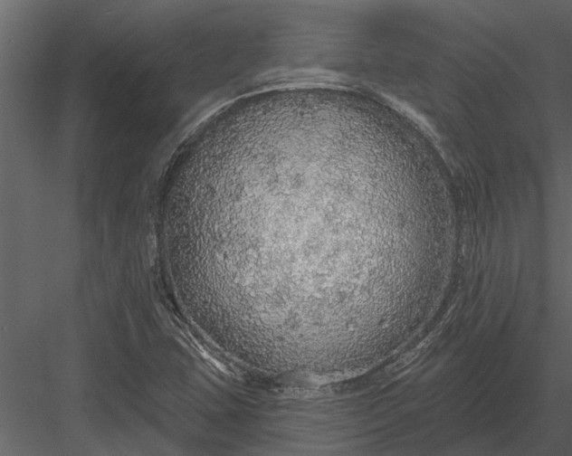 X0000083551407200702240059