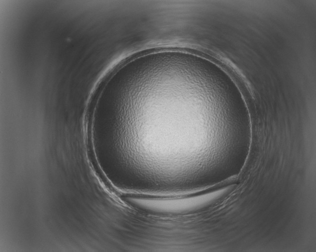 X0000083551416200702240059