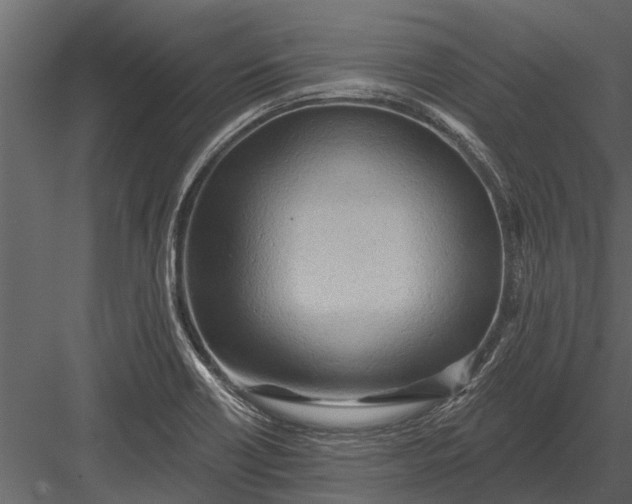 X0000083551418200702240059