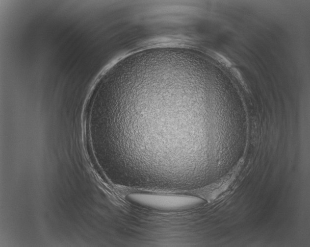 X0000083551419200702240059